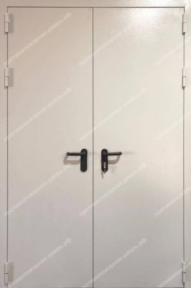 Двупольная глухая дверь EI 60 RAL 7040 нестандартная (06)